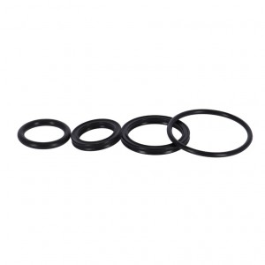 SR Suntour RS Oil Seal Kit - RS16 Raidon LO/R