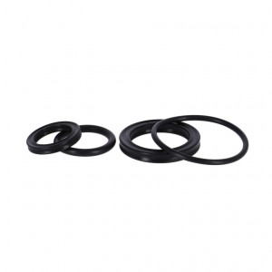 SR Suntour RS Oil Seal Kit - RS16-17 Duair